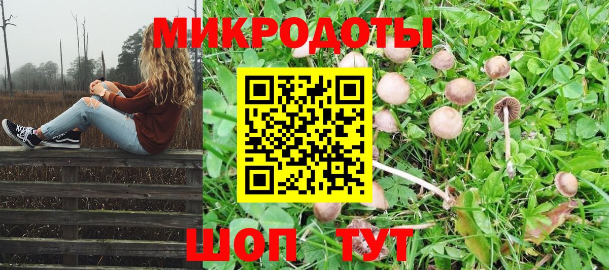 Псилоцибиновые грибы ЛСД  Вход с VPN  Ессентуки 