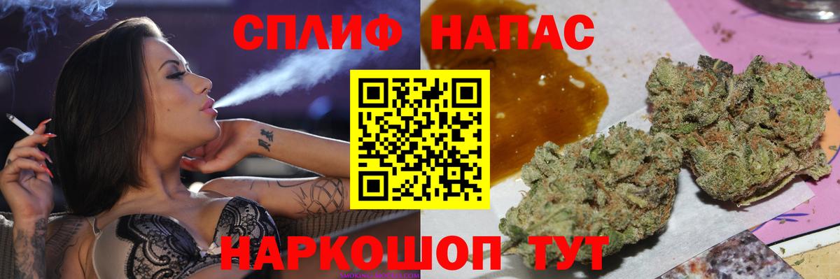 Каннабис план Ессентуки
